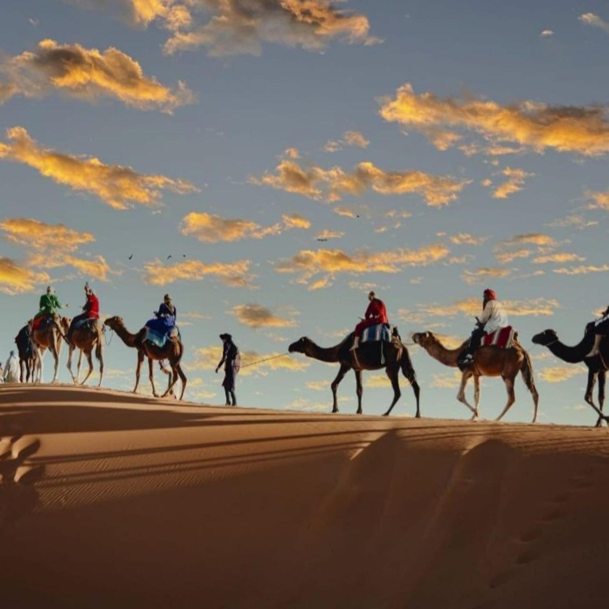 מלון מרזאוגה Unique Sahara Camp מראה חיצוני תמונה