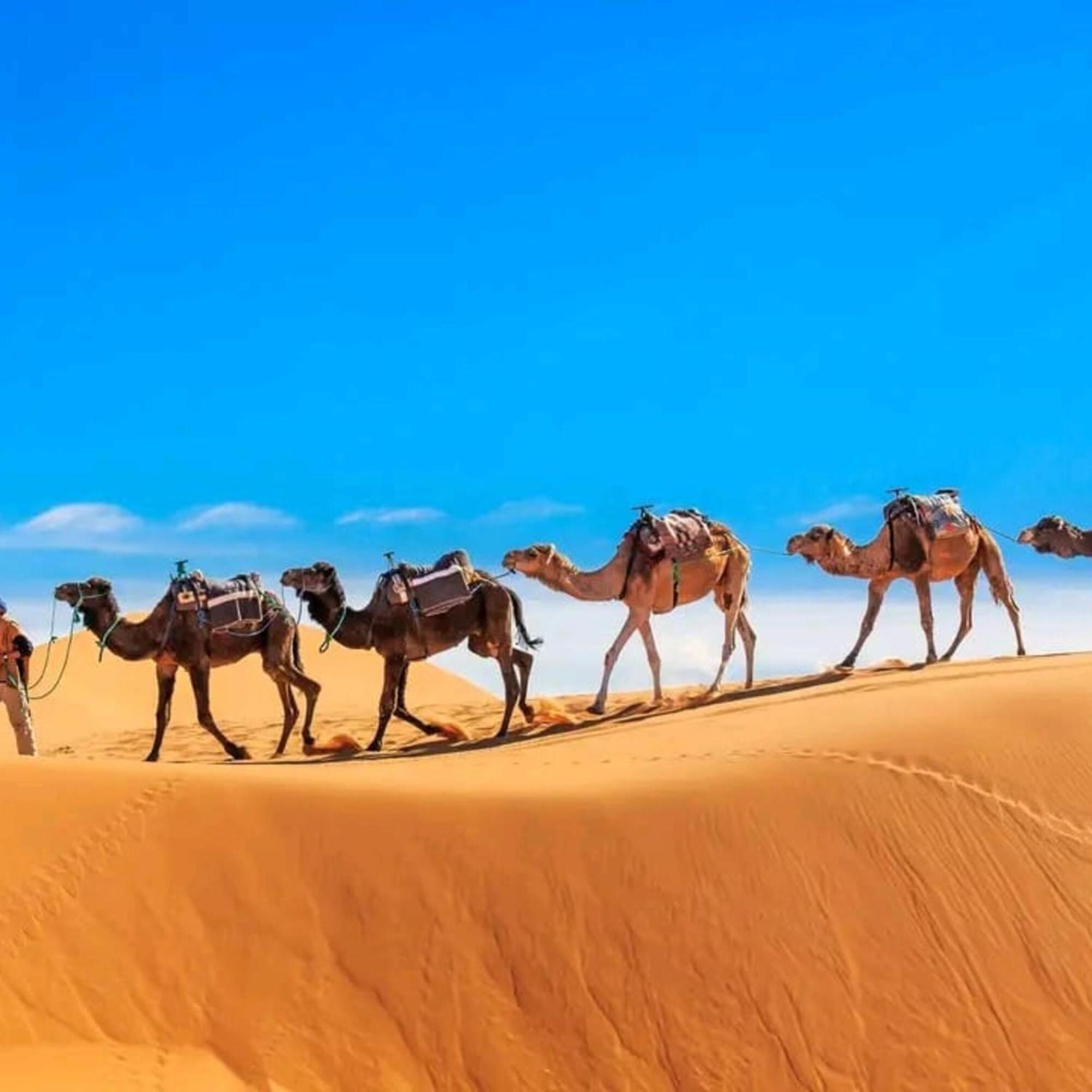 מלון מרזאוגה Unique Sahara Camp מראה חיצוני תמונה